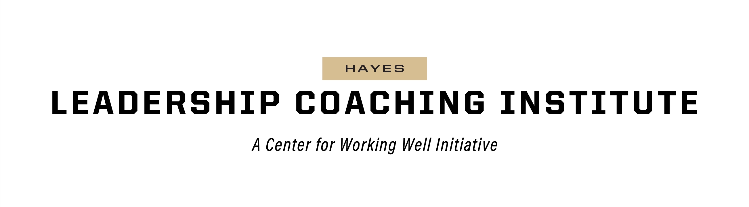 Hayes Leadership Coaching Institute, a Center for Working Well initiative