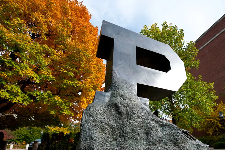 Unfinished P Sculpture