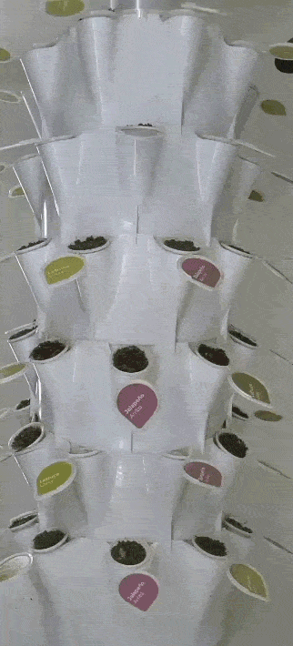 Animation of a Gro Pod sprouting