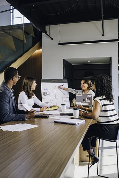 meeting presentation