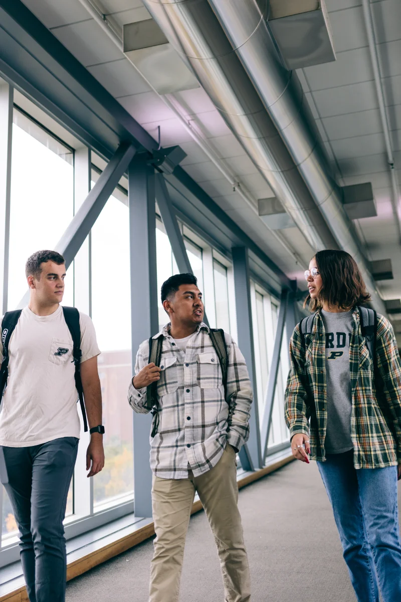 three students in conversation walking together